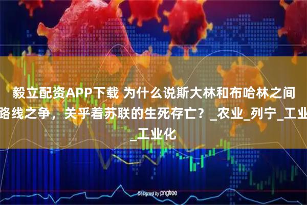 毅立配资APP下载 为什么说斯大林和布哈林之间的路线之争，关乎着苏联的生死存亡？_农业_列宁_工业化