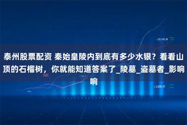 泰州股票配资 秦始皇陵内到底有多少水银？看看山顶的石榴树，你就能知道答案了_陵墓_盗墓者_影响