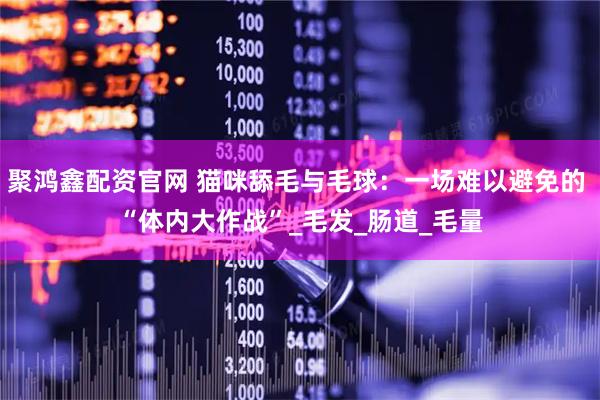 聚鸿鑫配资官网 猫咪舔毛与毛球：一场难以避免的 “体内大作战”_毛发_肠道_毛量