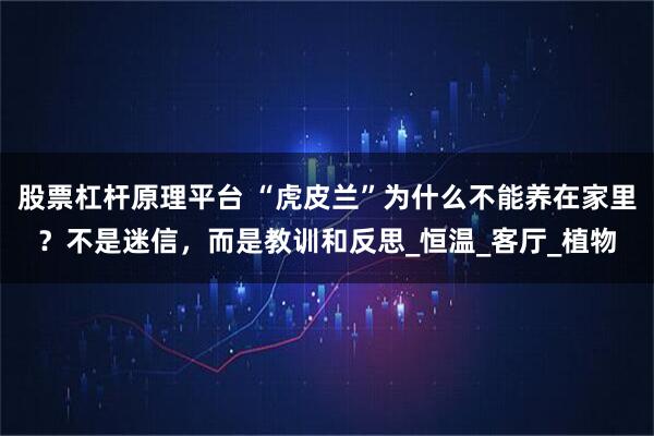 股票杠杆原理平台 “虎皮兰”为什么不能养在家里?不是迷信,而是教训和反思_恒温_客厅_植物